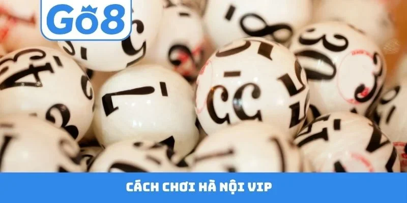 Hà Nội Vip