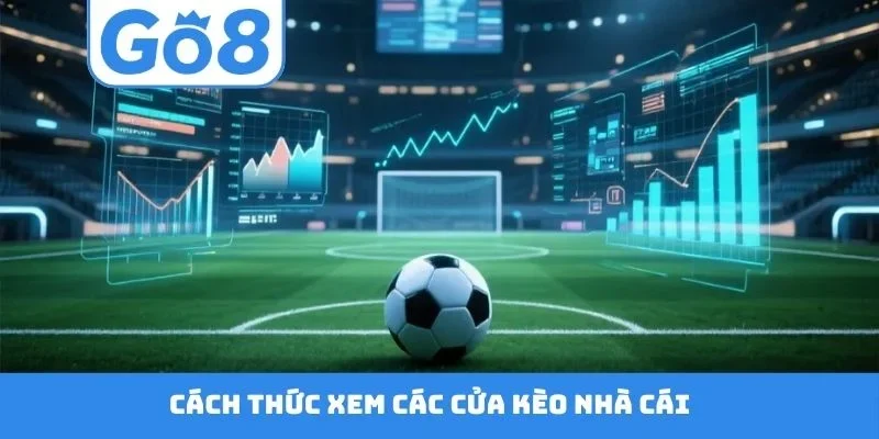 Cách thức xem các cửa kèo nhà cái