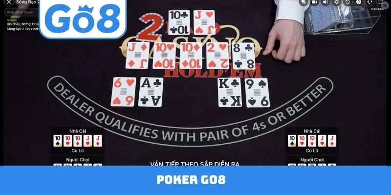 Poker GO8