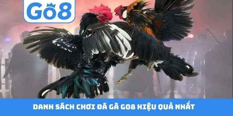 Danh sách chơi đá gà GO8 hiệu quả nhất