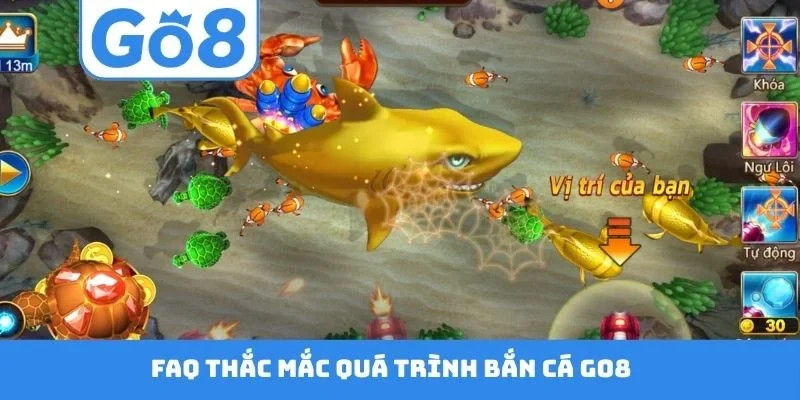 FAQ thắc mắc quá trình bắn cá GO8