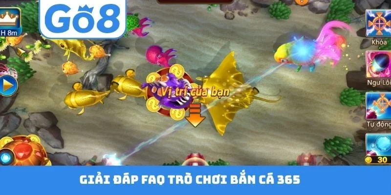 Giải đáp FAQ trò chơi bắn cá 365